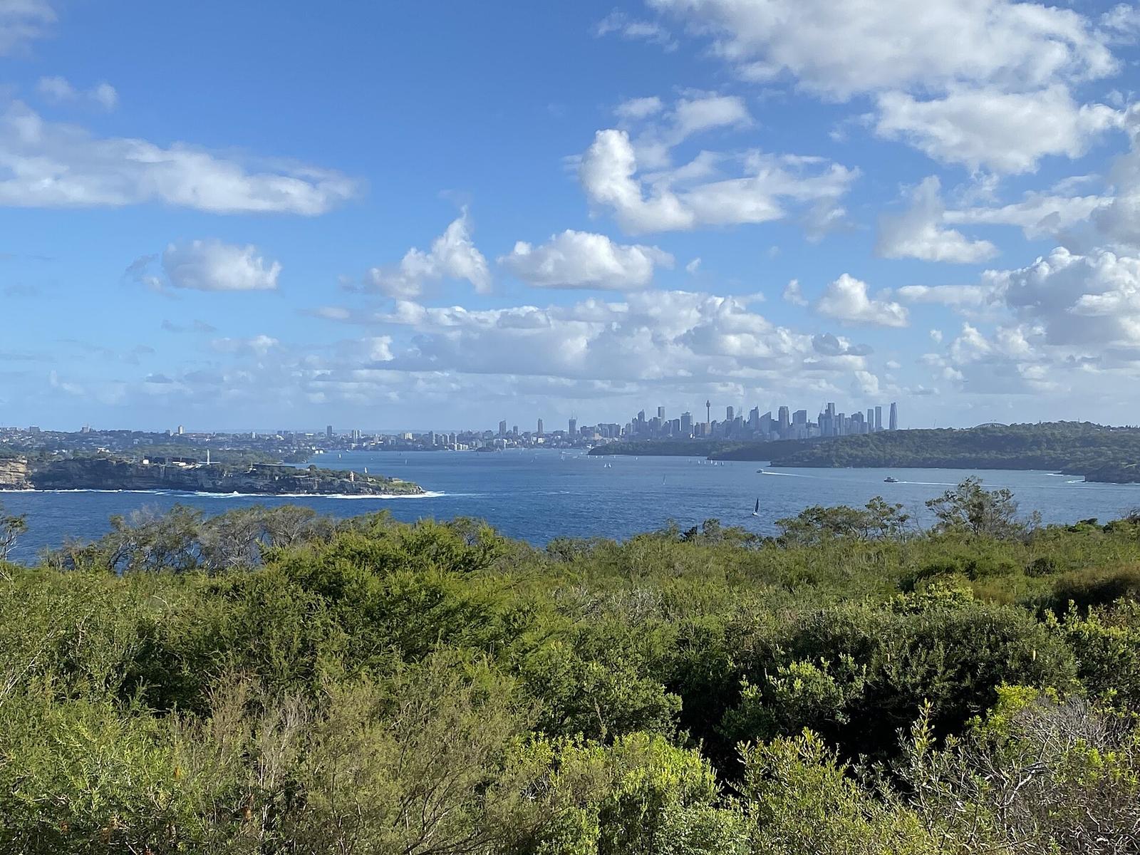 Sydney Officials and Experts Debate Solutions to Housing Affordability Crisis