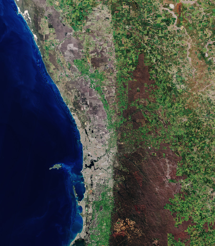 Wright v Kennedy; Wright v Dundooga Pastoral Co Pty Ltd; Reynoldson v Wright; Garlick v Kennedy; Glass v Kennedy; Brown v Kennedy; Wright v Kennedy [2026] NSWSC 834