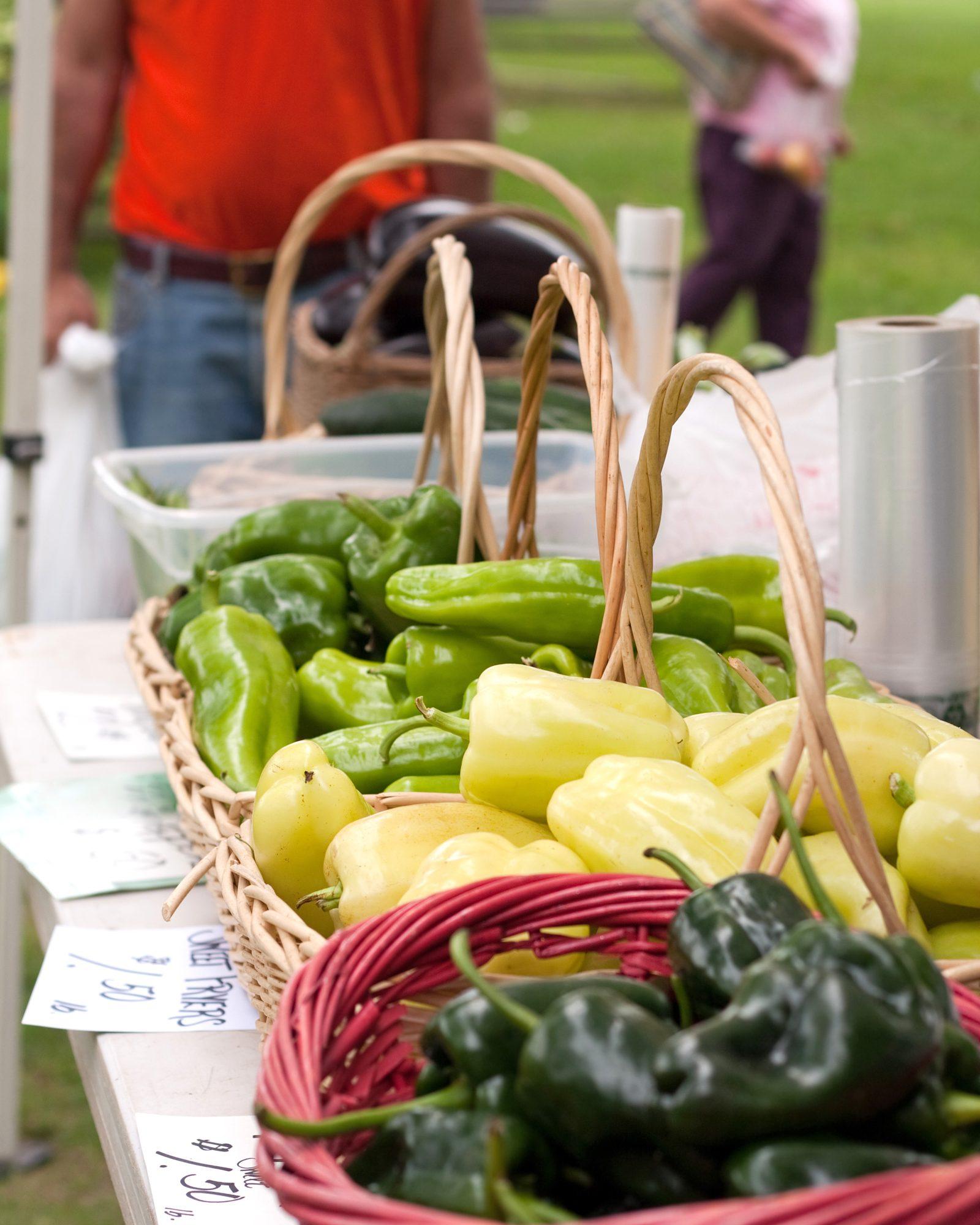 Sydney's Best Farmers Markets and What to Buy Right Now, in the Dead of Winter