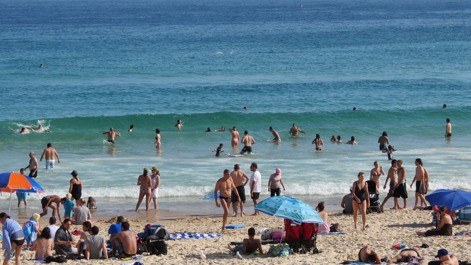 Bondi Beach Guide: Local Tips and Venues