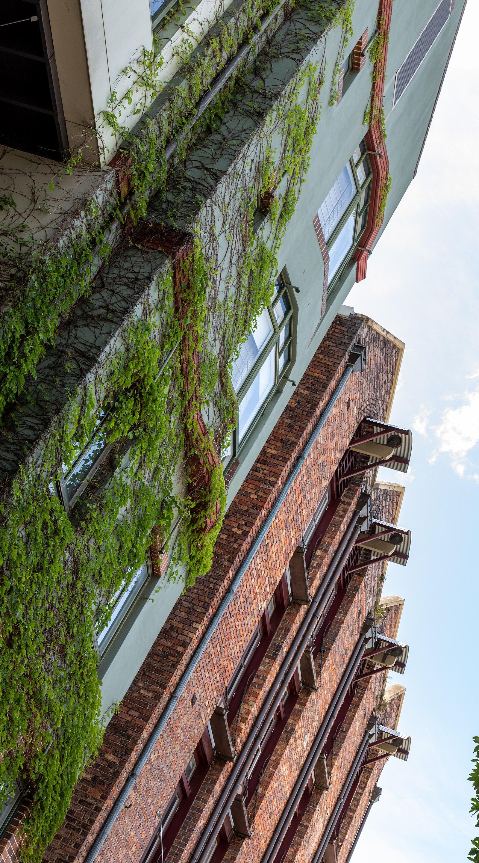 Sydney (AU), The Rocks, Nurses Walk 2019 3556