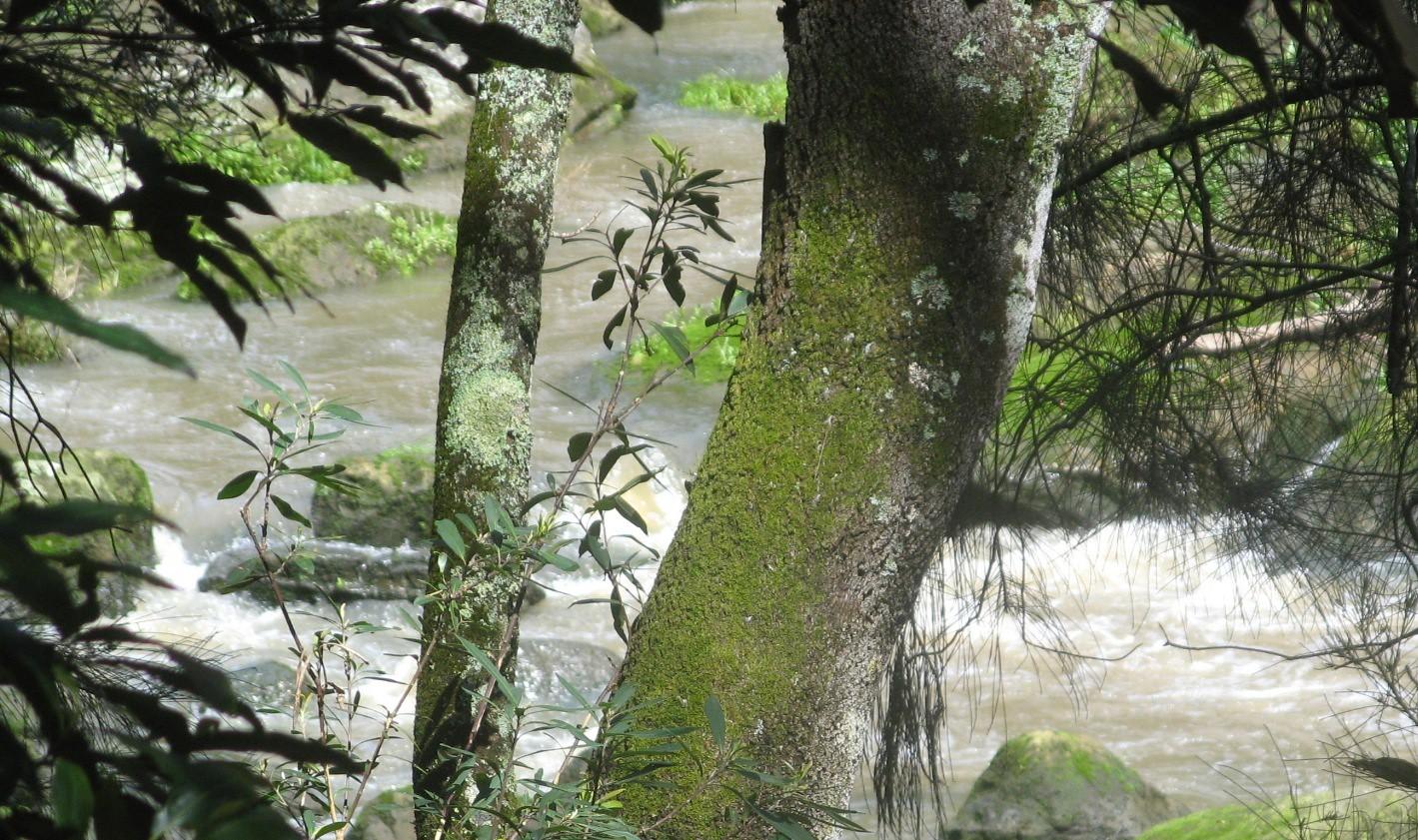 Walks Near Sydney: Local Guide to Best Routes