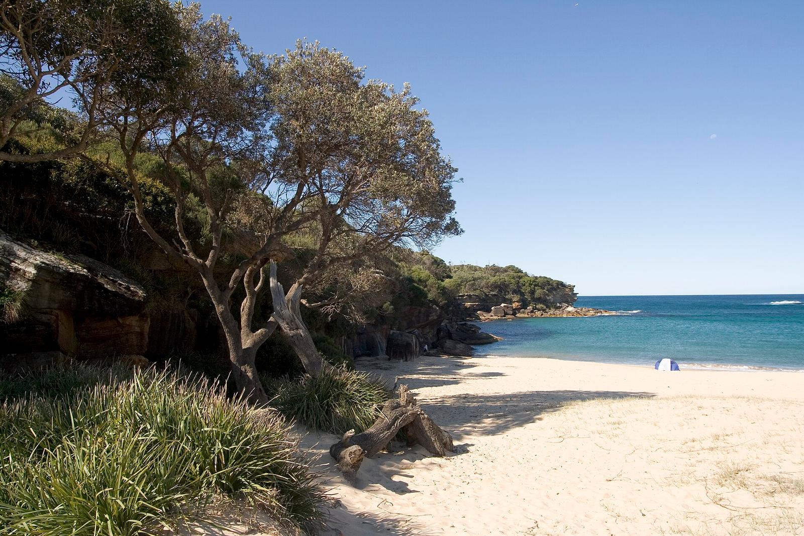 Royal National Park NSW 2233, Australia panoramio (26)